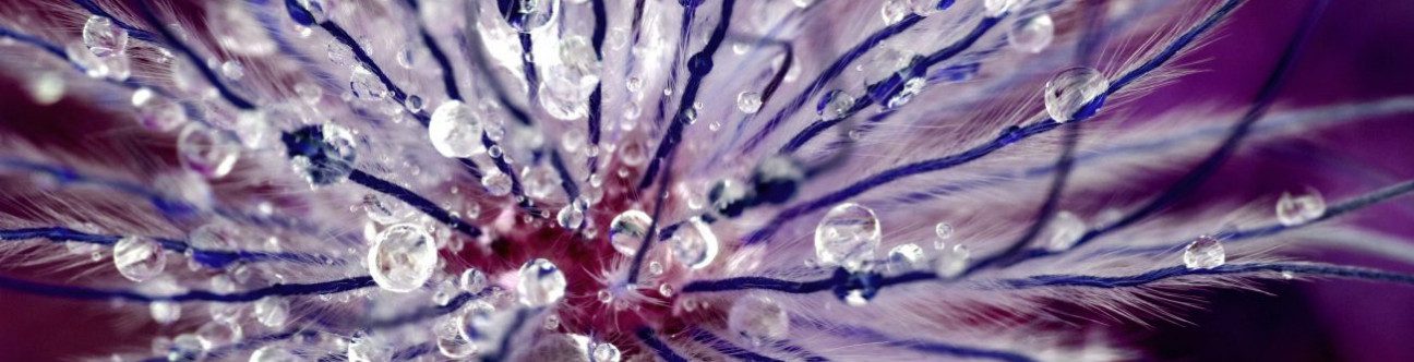 100% Foreign Ownership For 13 Sectors in the UAE