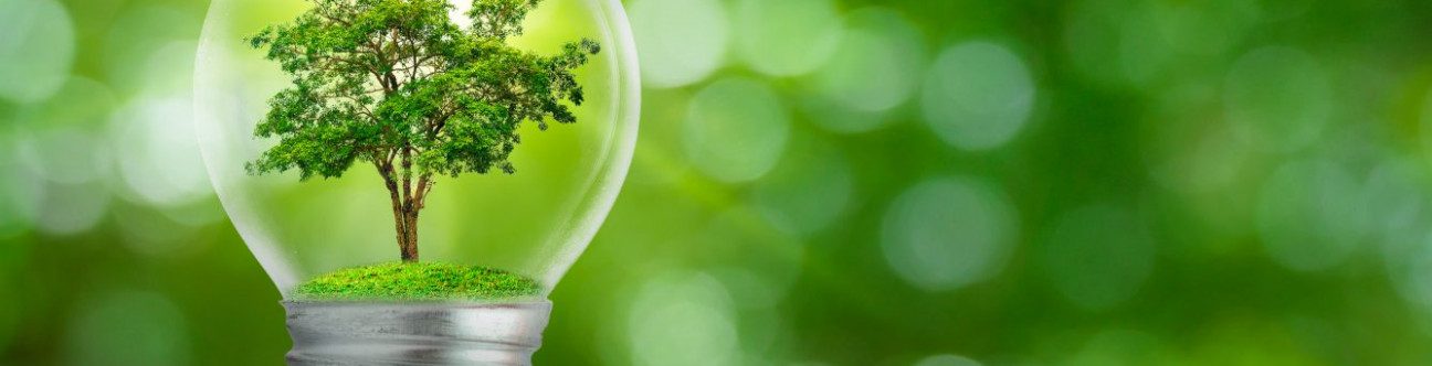 Alcohol and Trademarks Practice in UAE