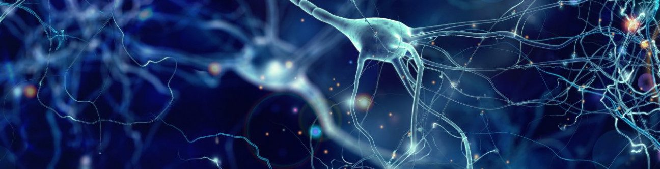 Are You Complying or Not?