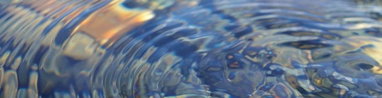 Bancassurance in the GCC: The Need for Change