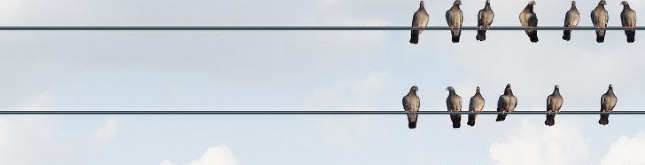 Country Report – UAE: Leading The Way In The Middle East