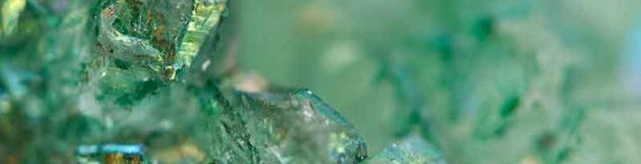 Health Insurance in the UAE – Capitation Schemes Confirmed Unlawful by the Insurance Authority