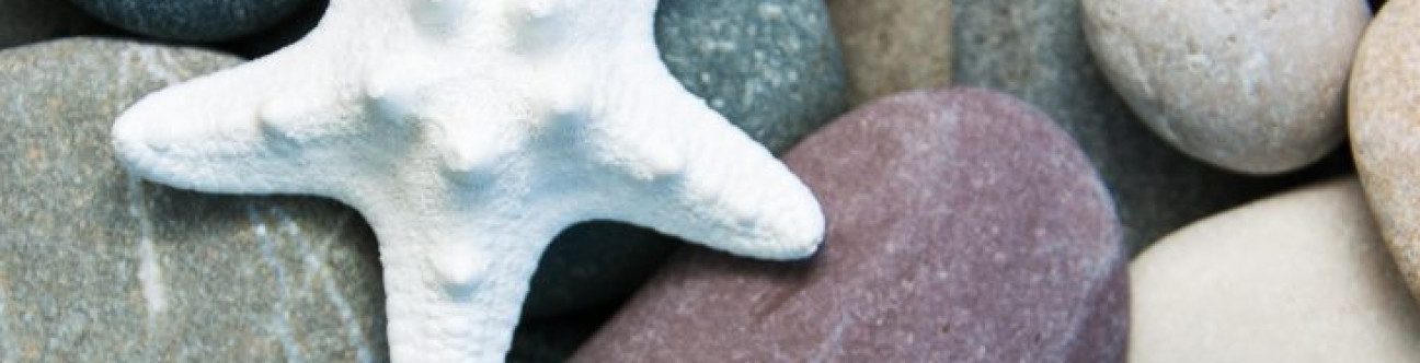 Islamic Finance: A Practical Guide