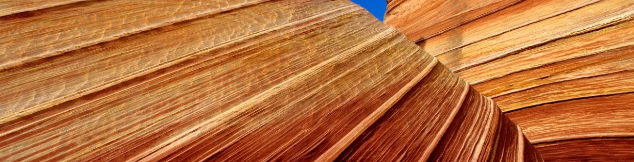 Key Considerations For Multinational Business Looking to Setup in the UAE