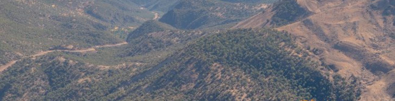 Oil Contracts and Policy in Iraq