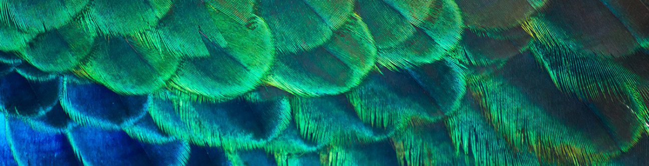 Q&A: Legal Considerations for Construction in Saudi Arabia