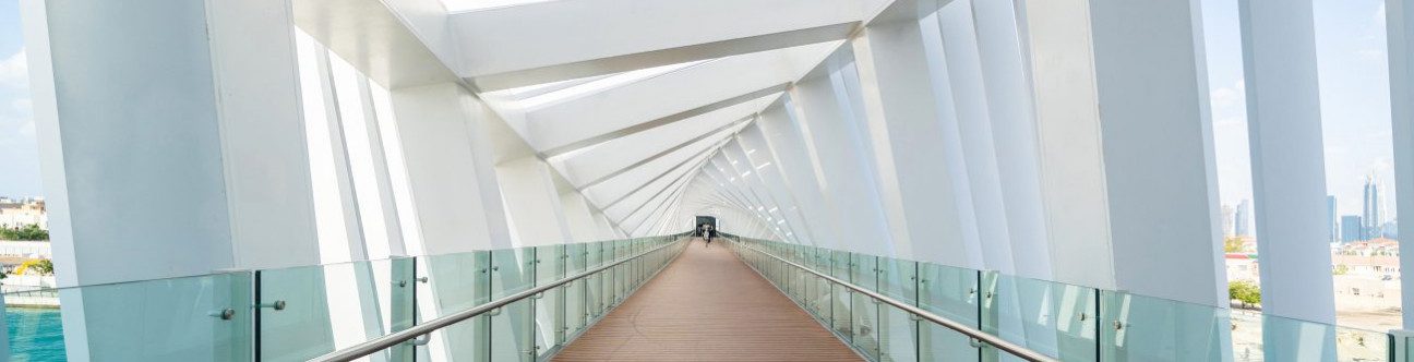 Recent Updates and Developments in UAE Intellectual Property Practice and Procedures