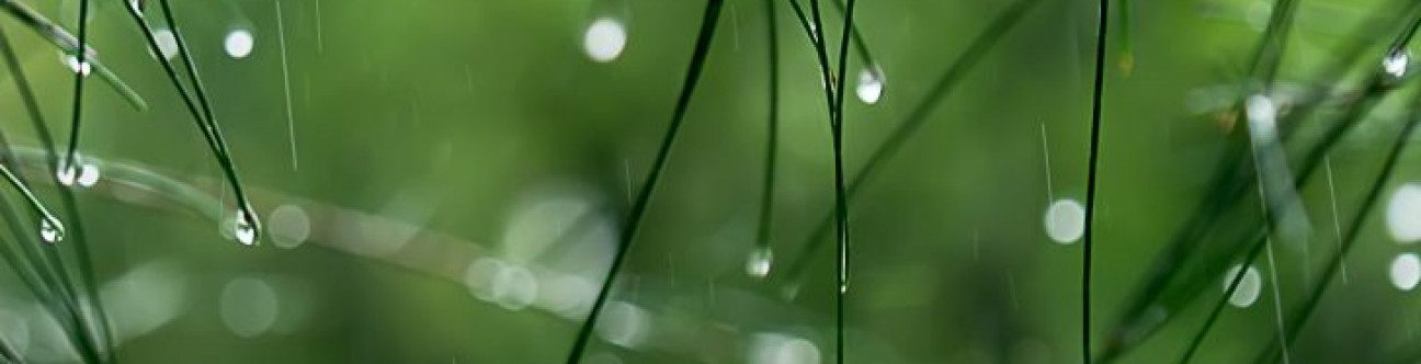 Sector Feature – Project and Infrastructure Finance: A Growing Trend