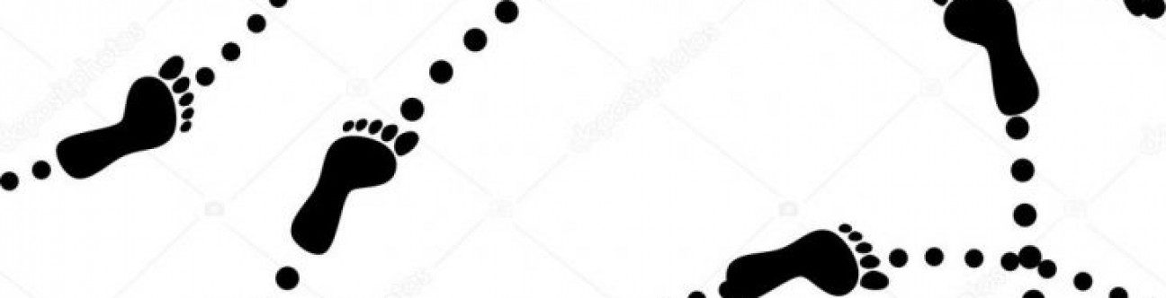 Step by step guide to UAE VAT registration