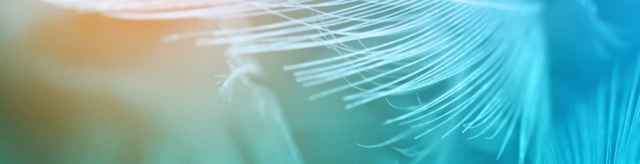 Streamlining DIFC Registration and Regulation