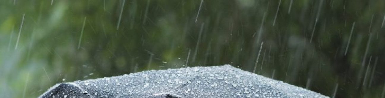 The Draft Investor Protection Law: Pros and Cons