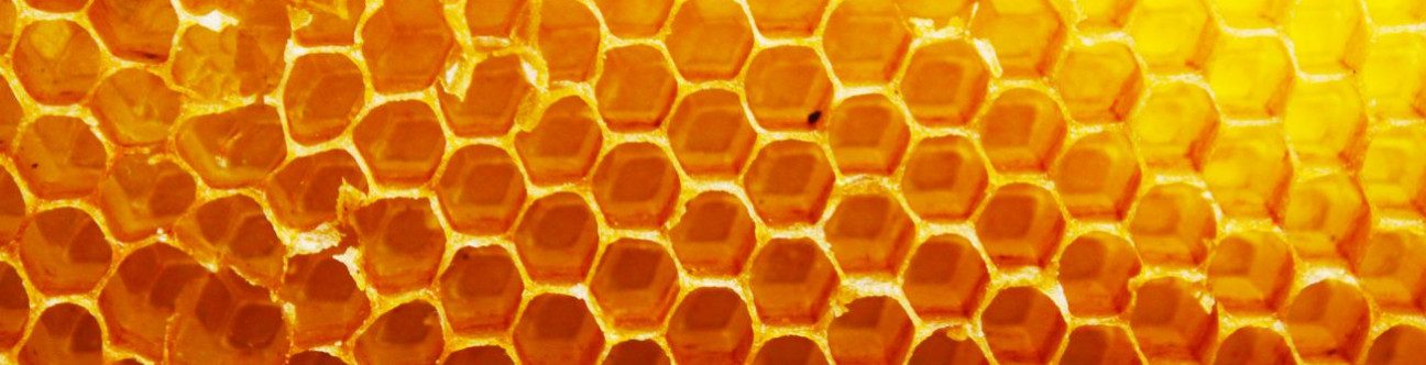 The Islamic Economy Problems & Potential