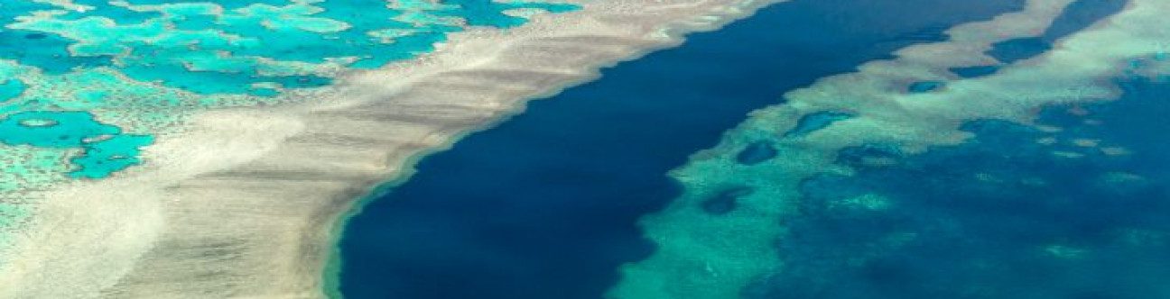 The Legal 500: 2nd Edition Insurance & Reinsurance Comparative Guide