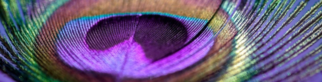 The UAE Sets Up National Regulatory Shariah Authority