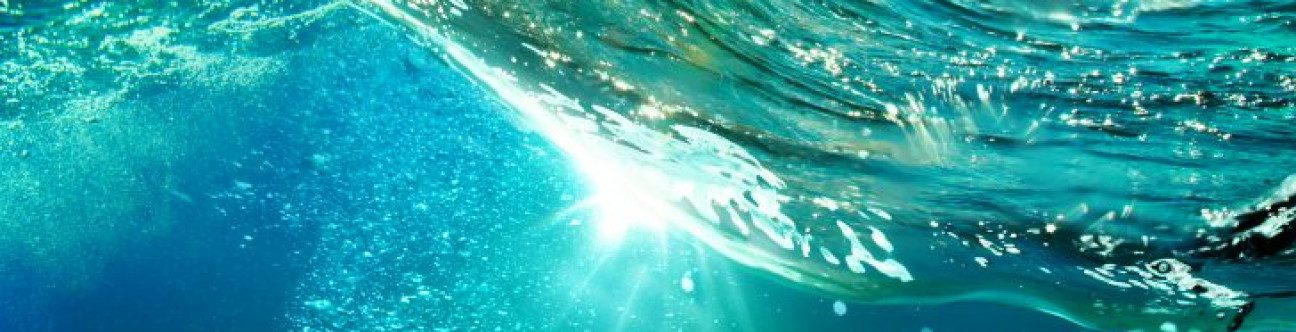 Three ways businesses can limit their legal exposure in the UAE