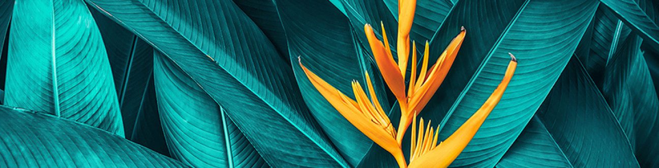 Trusts & Firm Foundation