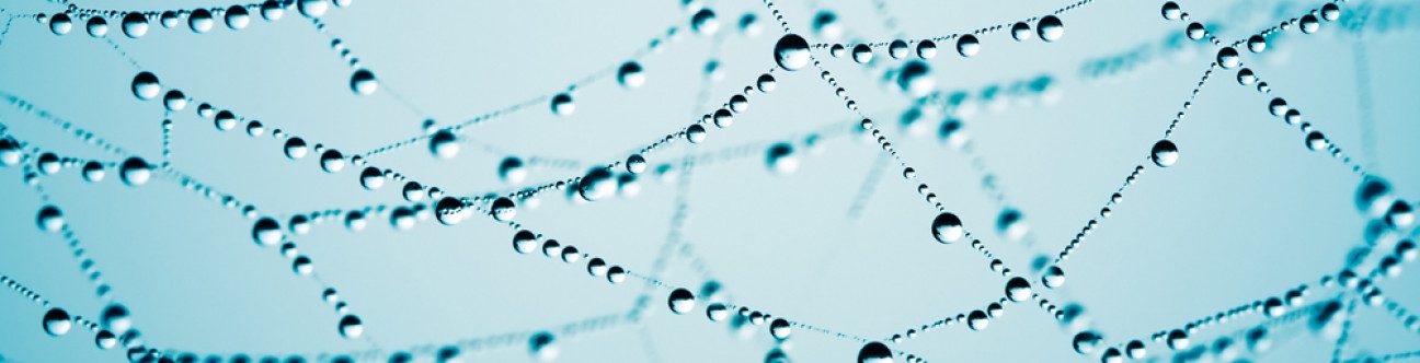 UAE: International Arbitration